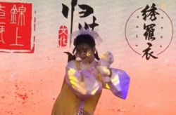 古装小姐姐打斗视频动态,一招一式尽显英姿