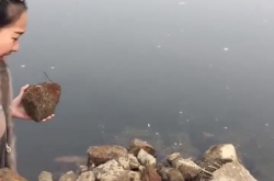 小姐姐的钓台图片,小姐姐捕捉自然之美
